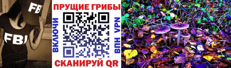 Псилоцибиновые грибы MAGIC MUSHROOMS  Александровск-Сахалинский 